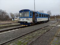 810 631-2