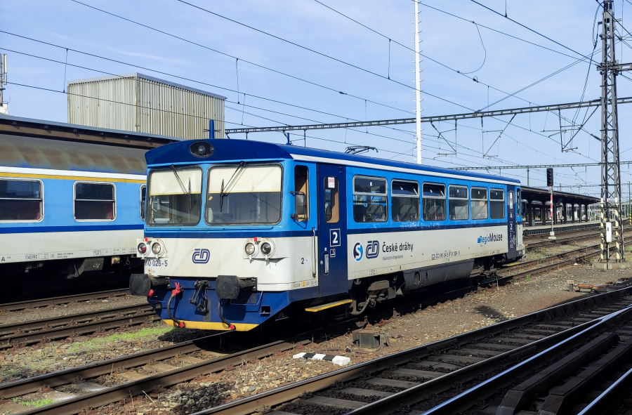 810 026-5