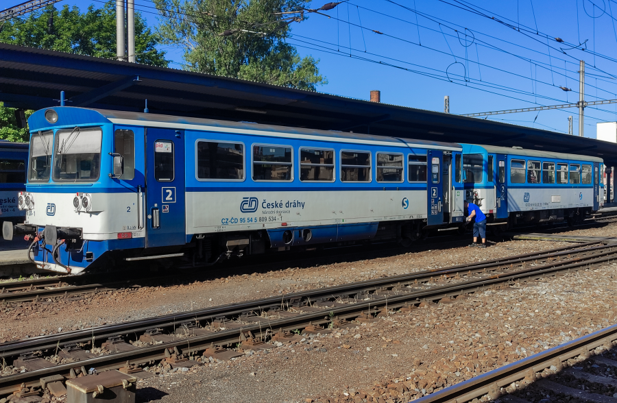 809 534-1