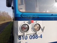 810 098-4