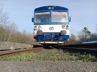 810 098-4