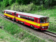 810 625-8