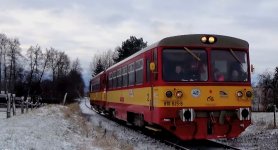 810 625-8