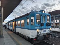 842 025-9