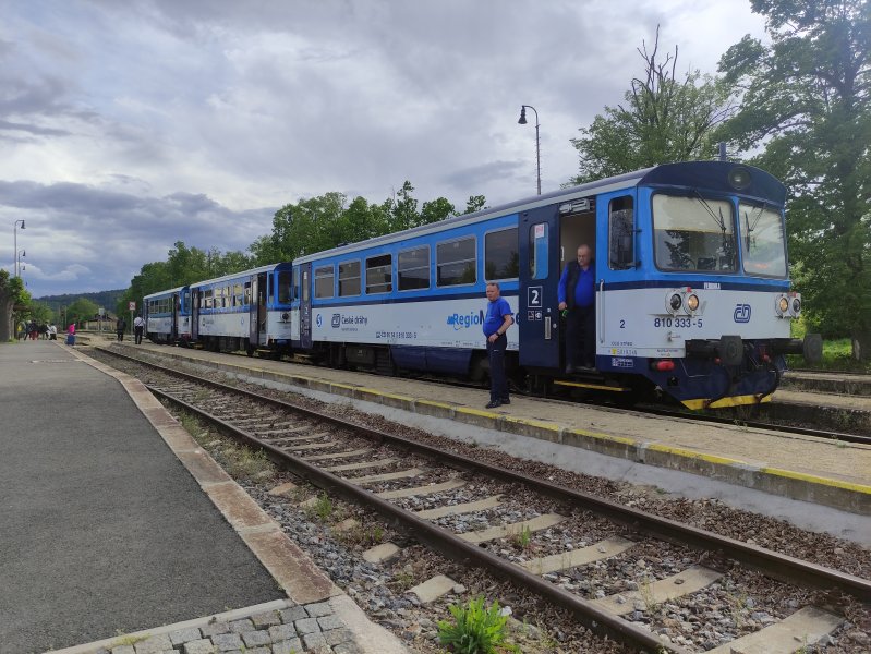 810 333-5