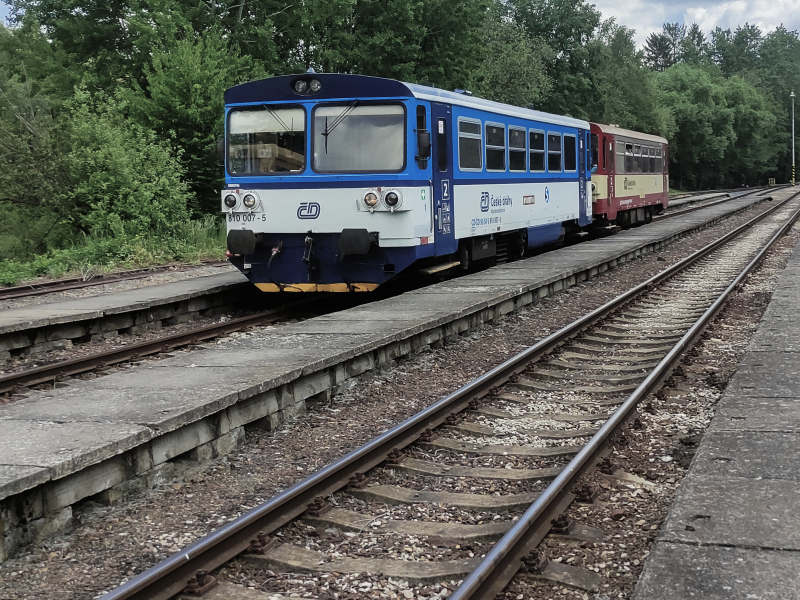 810 007-5
