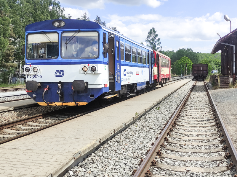 810 007-5