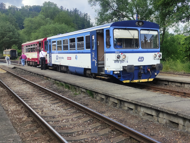 810 007-5