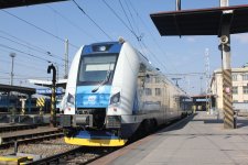651 239-6