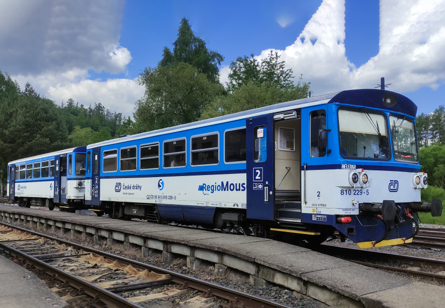 810 229-5