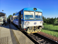 810 296-4
