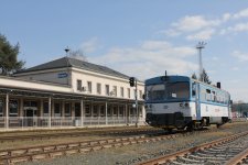 810 394-7