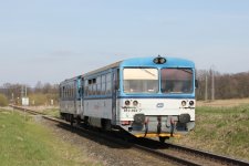 810 394-7