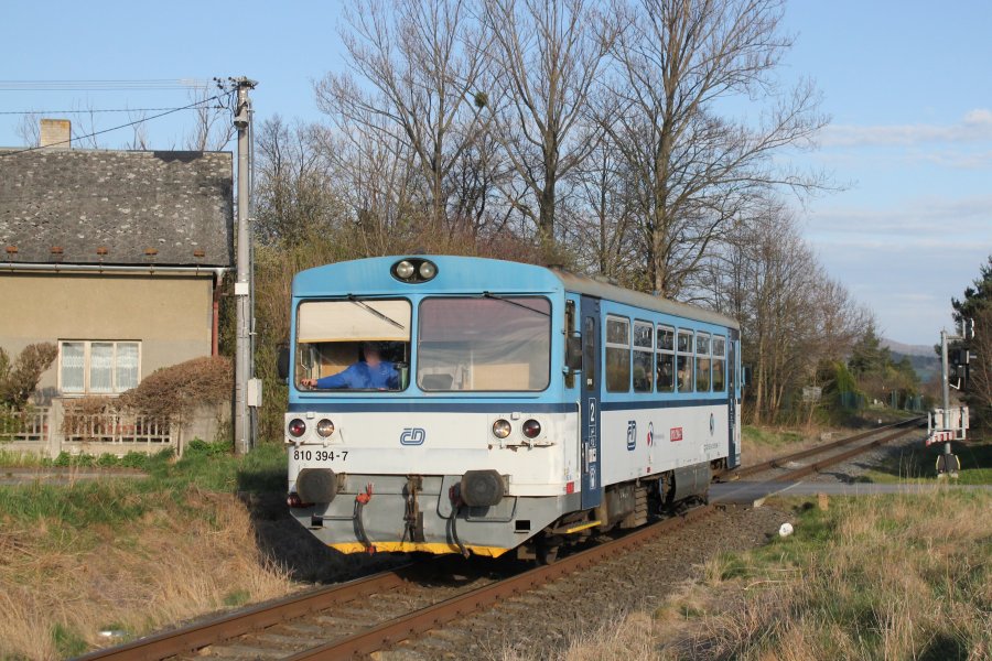 810 394-7