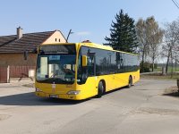 33421