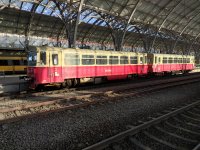 810 381-4