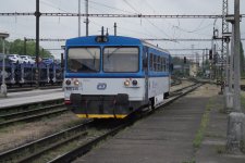 810 448-1