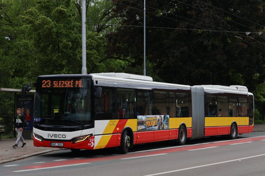 241