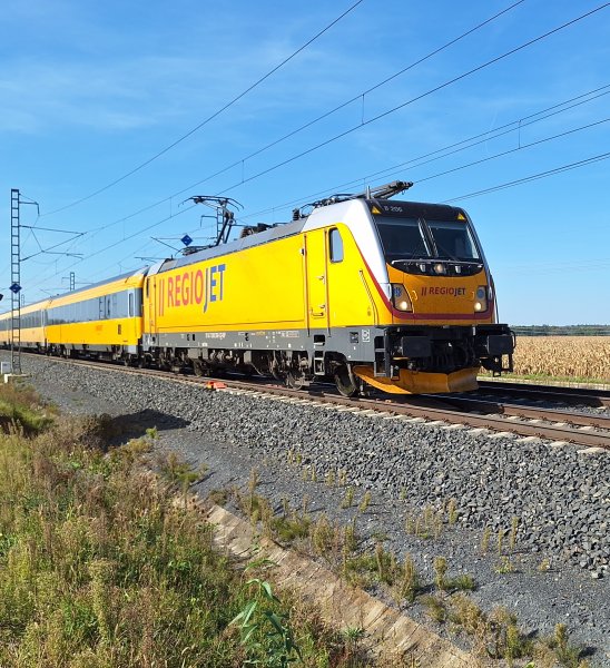 388 206-5