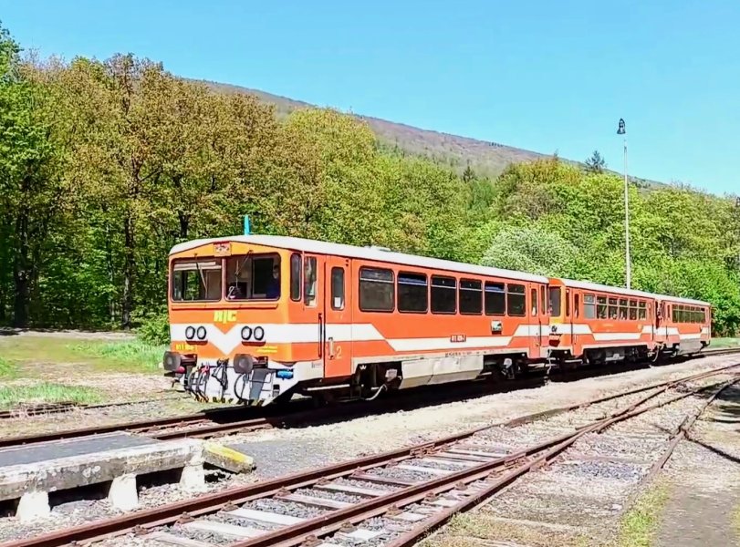 811 020-7