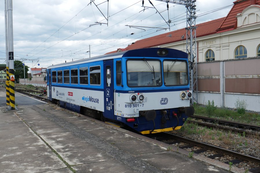810 501-7
