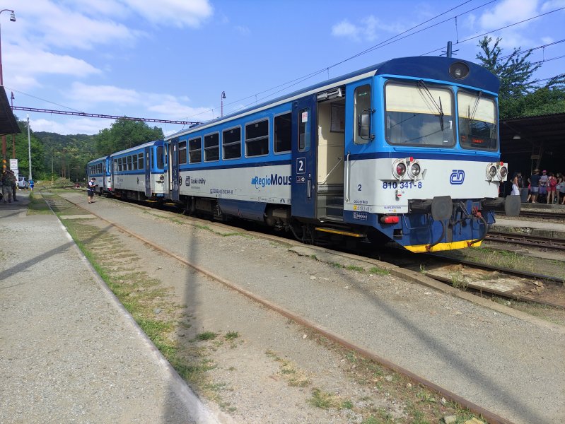 810 341-8