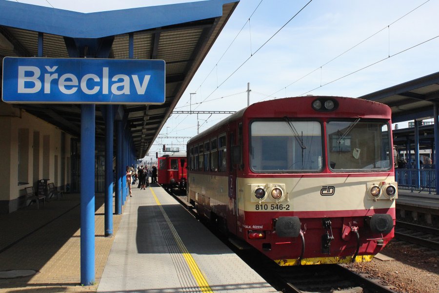 810 546-2