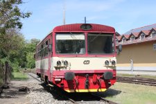 810 546-2