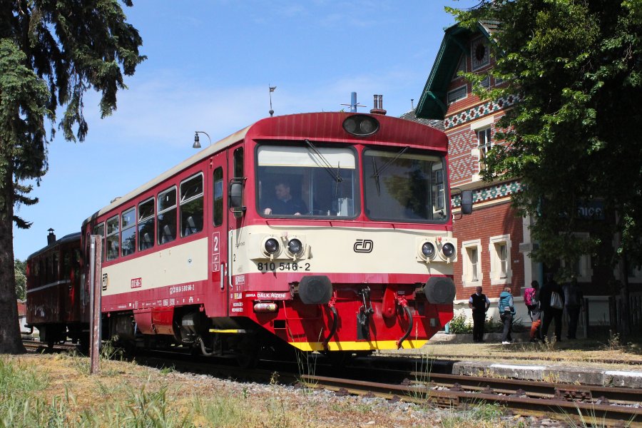 810 546-2