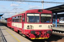 810 546-2