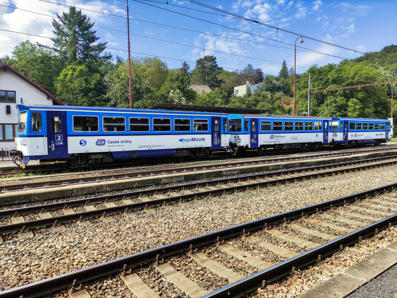 810 341-8