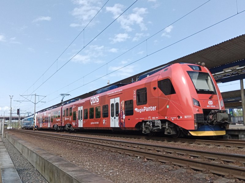 651 233-9