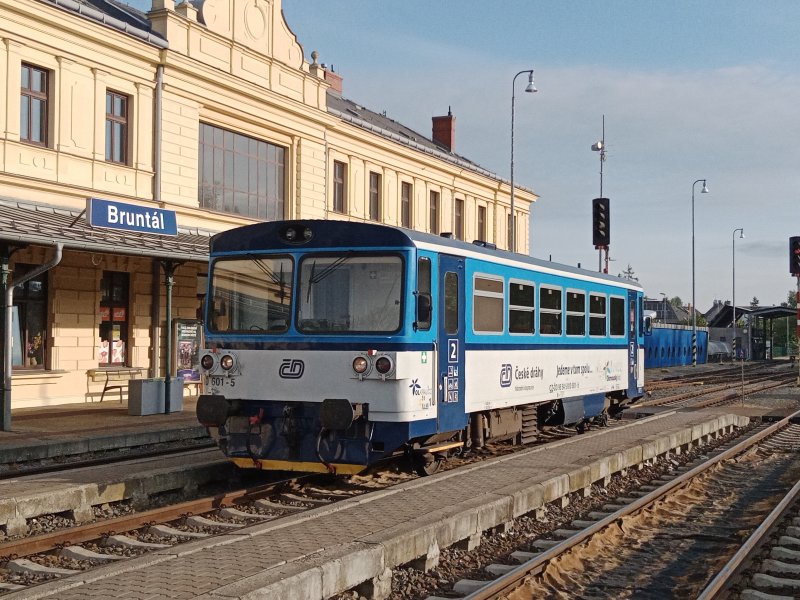 810 601-5