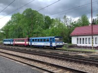 810 459-8