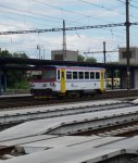 810 298-0