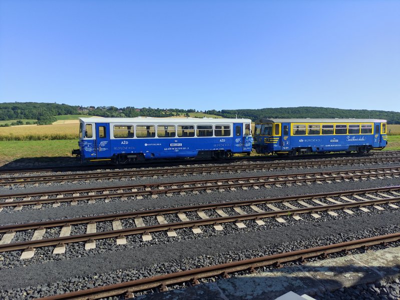 810 221-2