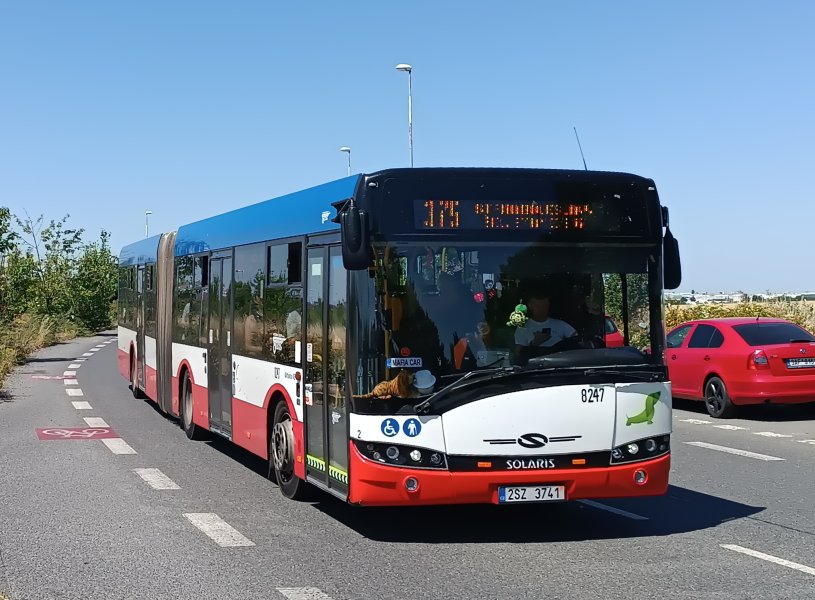 8247