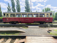 810 381-4