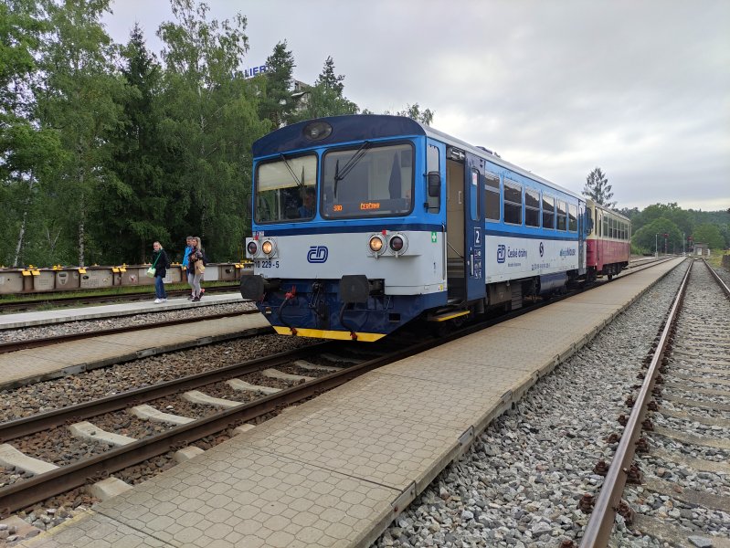 810 229-5