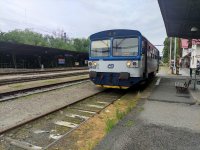 810 333-5