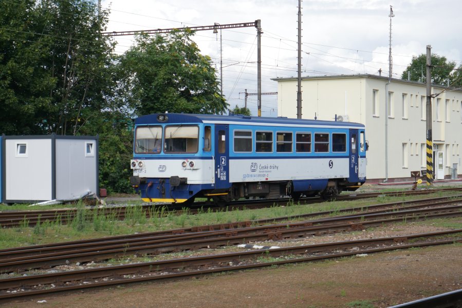 810 631-2