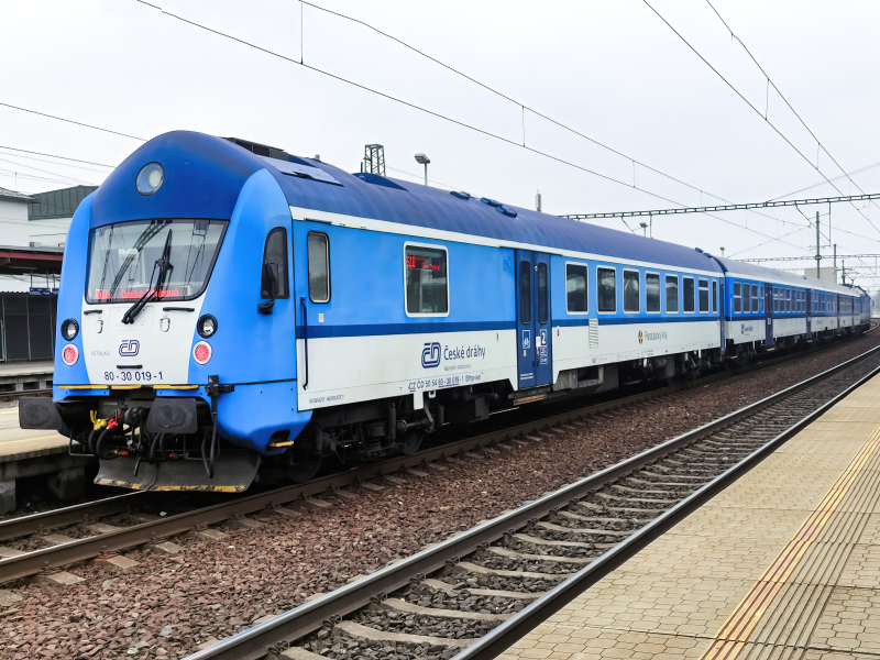 80-30 019-1