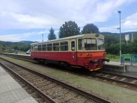 810 535-5