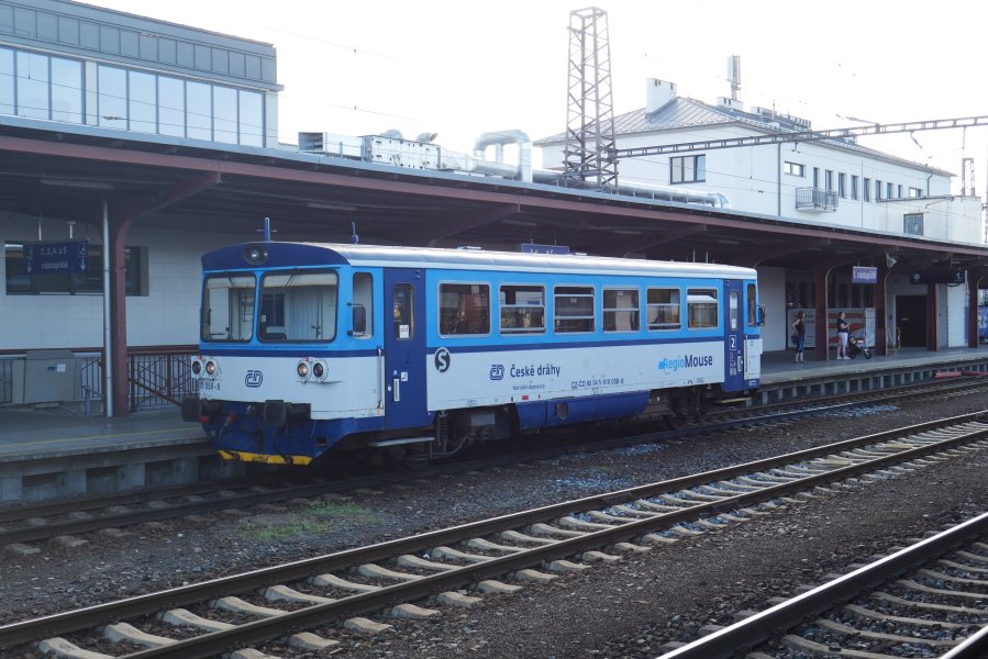810 058-8