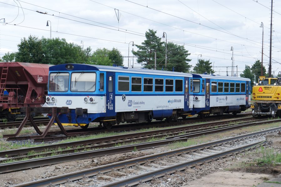 810 058-8