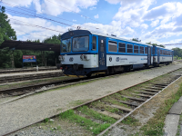 810 333-5