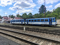 810 333-5
