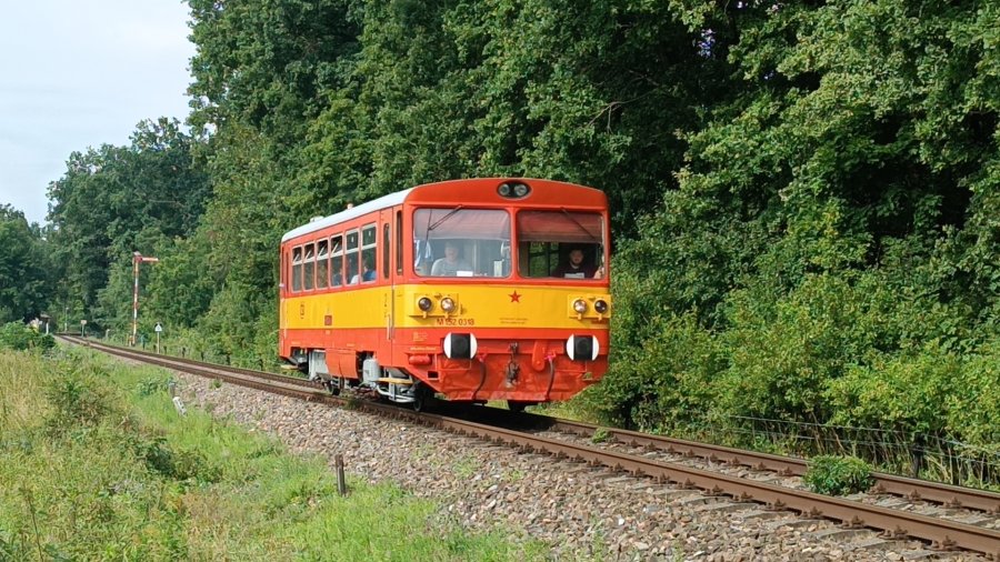 810 318-6