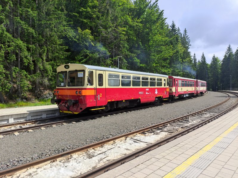 810 617-3