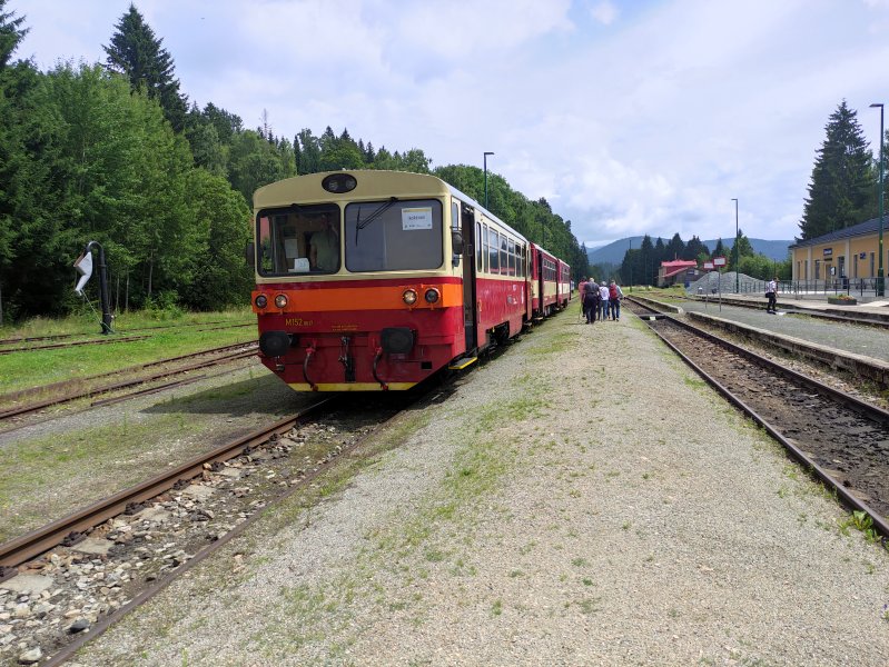 810 617-3